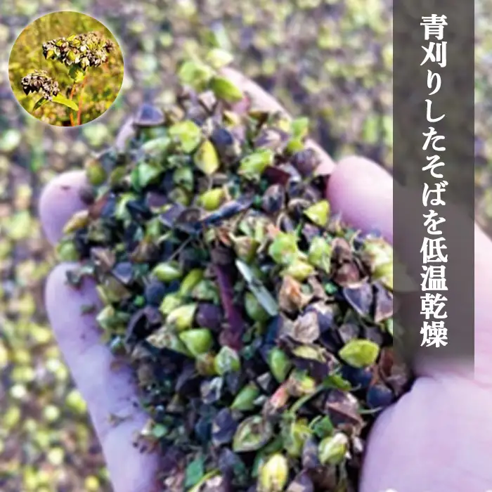 【オーガニック】上原農場 有機原料 そばの実1kg（500g×2）【3000201】