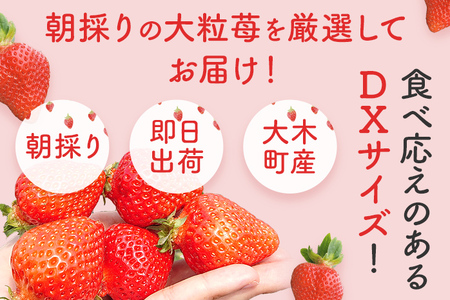 あまおう 約270g×2パック おすすめ 福岡県 大木町 BO003 【2026年12月下旬～2025年4月末頃にかけて順次出荷予定】いちご フルーツ 苺