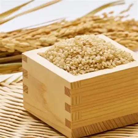 《白山鶴来の恵み》　稲ほ舎の銀のどじょう　玄米5kg_ ミルキークィーン 米 みるきーくいーん ミルキークイーン_【1019570】