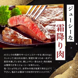 飛騨牛 A5 サーロイン ステーキ用 600ｇ（300g×2枚）｜国産 肉 牛肉 焼肉 ステーキ 和牛 黒毛和牛  A5等 級 グルメ おすすめ AD108【飛騨牛 和牛ブランド 飛騨牛 黒毛和牛 飛騨牛 岐阜 大野町 飛騨牛】