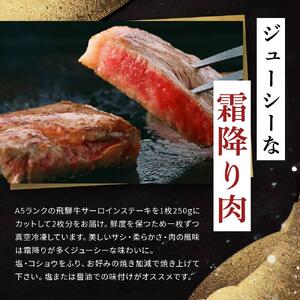 飛騨牛Ａ5 サーロインステーキ用 1kg（250g×4枚）｜国産 肉 牛肉 焼肉 ステーキ 和牛 黒毛和牛 グルメ A5等級 おすすめ AD109【飛騨牛 和牛ブランド 飛騨牛 黒毛和牛 飛騨牛 岐阜 大野町 飛騨牛】