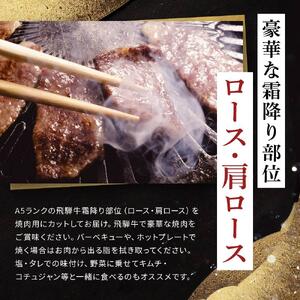 飛騨牛Ａ5 焼肉用 500ｇ ロース 又は 肩ロース 肉 ｜国産 肉 牛肉 焼肉 和牛 黒毛和牛 グルメ A5等級 おすすめ AD115【飛騨牛 和牛ブランド 飛騨牛 黒毛和牛 飛騨牛 岐阜 大野町 飛騨牛】