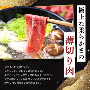 飛騨牛Ａ5 赤身肉 スライス 300ｇ モモ 又は カタ 肉 ｜国産 肉 牛肉 焼肉 和牛 黒毛和牛 赤身 グルメ A5等級 おすすめ AD118【飛騨牛 和牛ブランド 飛騨牛 黒毛和牛 飛騨牛 岐阜 大野町 飛騨牛】