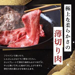 飛騨牛Ａ5 赤身肉 スライス 500ｇ モモ 又は カタ 肉 ｜国産 肉 牛肉 焼肉 すき焼き しゃぶしゃぶ 和牛 黒毛和牛 赤身 グルメ A5等級 おすすめ AD119【飛騨牛 和牛ブランド 飛騨牛 黒毛和牛 飛騨牛 岐阜 大野町 飛騨牛】