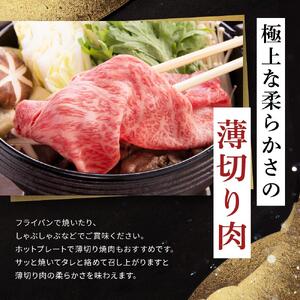 飛騨牛Ａ5 赤身肉 スライス 600g（300g×2パック）モモ 又は カタ 肉 ｜国産 肉 牛肉 焼肉 すき焼き しゃぶしゃぶ 和牛 黒毛和牛 赤身 グルメ A5等級 おすすめ AD120【飛騨牛 和牛ブランド 飛騨牛 黒毛和牛 飛騨牛 岐阜 大野町 飛騨牛】