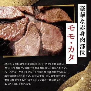飛騨牛Ａ5 赤身肉 焼肉用 300ｇ モモ 又は カタ 肉 ｜国産 肉 牛肉 焼肉 和牛 黒毛和牛 赤身 グルメ A5等級 おすすめ AD122 【飛騨牛 和牛ブランド 飛騨牛 黒毛和牛 飛騨牛 岐阜 大野町 飛騨牛】