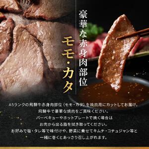 飛騨牛Ａ5 赤身肉 焼肉用 500ｇ モモ 又は カタ 肉 ｜国産 肉 牛肉 焼肉 和牛 黒毛和牛 赤身 グルメ A5等級 おすすめ AD123  【飛騨牛 和牛ブランド 飛騨牛 黒毛和牛 飛騨牛 岐阜 大野町 飛騨牛】