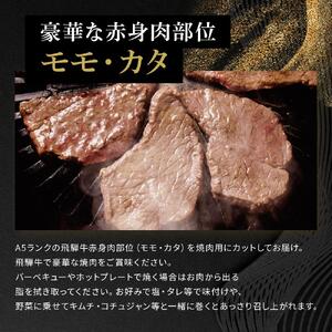 飛騨牛Ａ5 赤身肉 焼肉用 600g （300g×2パック） モモ 又は カタ 肉 ｜国産 肉 牛肉 焼肉 和牛 黒毛和牛 赤身 グルメ A5等級 おすすめ AD124 【飛騨牛 和牛ブランド 飛騨牛 黒毛和牛 飛騨牛 岐阜 大野町 飛騨牛】