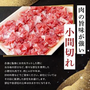 飛騨牛Ａ5 小間切れ 500g｜国産 肉 牛肉 和牛 黒毛和牛 グルメ A5等級 おすすめ AD126 【飛騨牛 和牛ブランド 飛騨牛 黒毛和牛 飛騨牛 岐阜 大野町 飛騨牛】