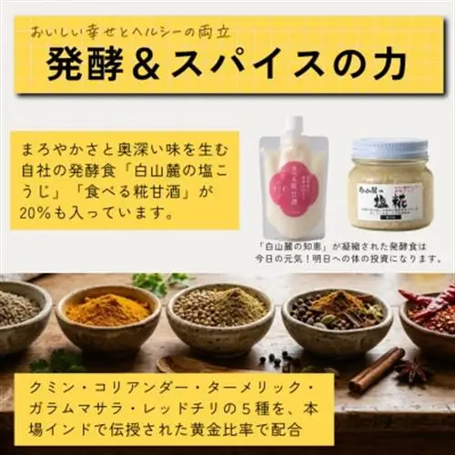 発酵スパイスカレー6個 ★白山麓のW発酵とスパイス5種  クセになる旨辛 グルテンフリー＆無添加_惣菜・加工品 カレー  _【配送不可地域：離島】【1376653】