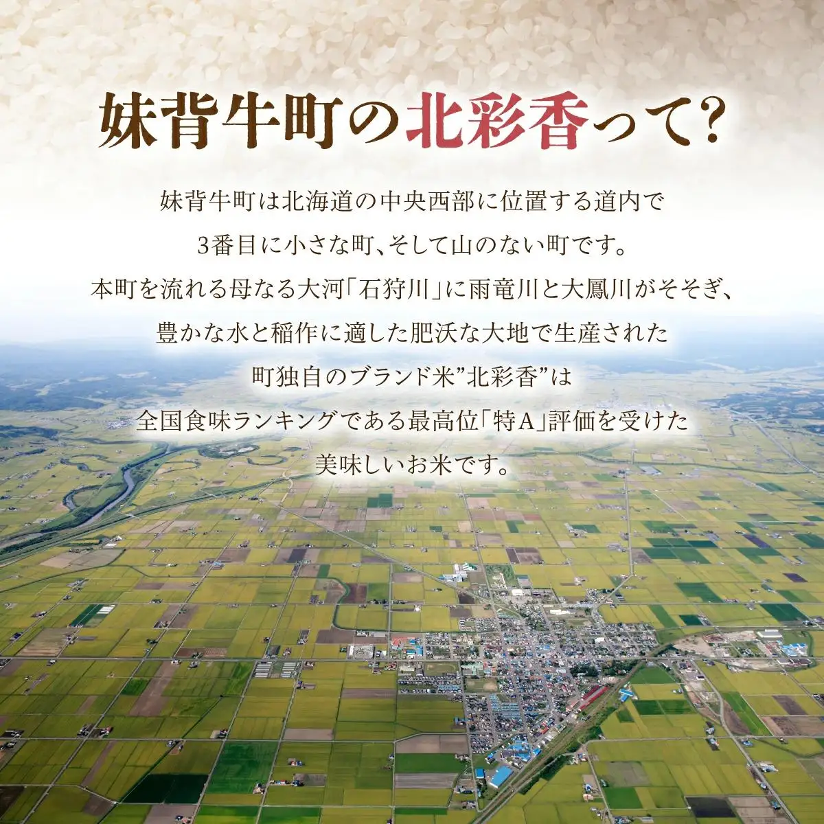 令和8年産 食べ比べ ( ゆめぴりか vs ななつぼし ) 白米 20kg 【北彩香】