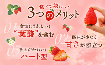いちご とちあいか 290g×4パック ※2026年12月～発送