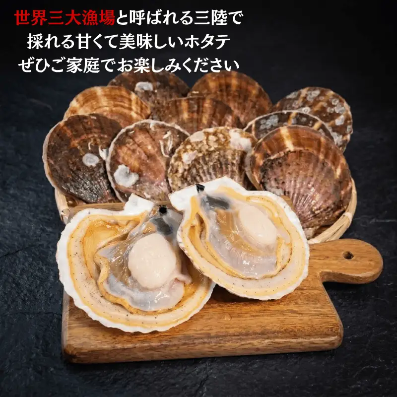 活ホタテ 10枚 (11cm~12cm)