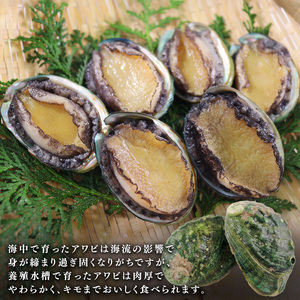 三陸翡翠あわび お手軽ファミリーセット 40g×10個 冷凍 鮑 青空レストラン 蝦夷あわび アワビ 鮑 Abalone ステーキ バターソテー 正月 お正月 おせち 蒸し鮑 バーベキュー BBQ ごはん 夕飯 おかず おつまみ 晩酌 海産物 海鮮 魚介 魚介類 贈答品 お中元 お歳暮 大船渡 三陸 岩手県 国産