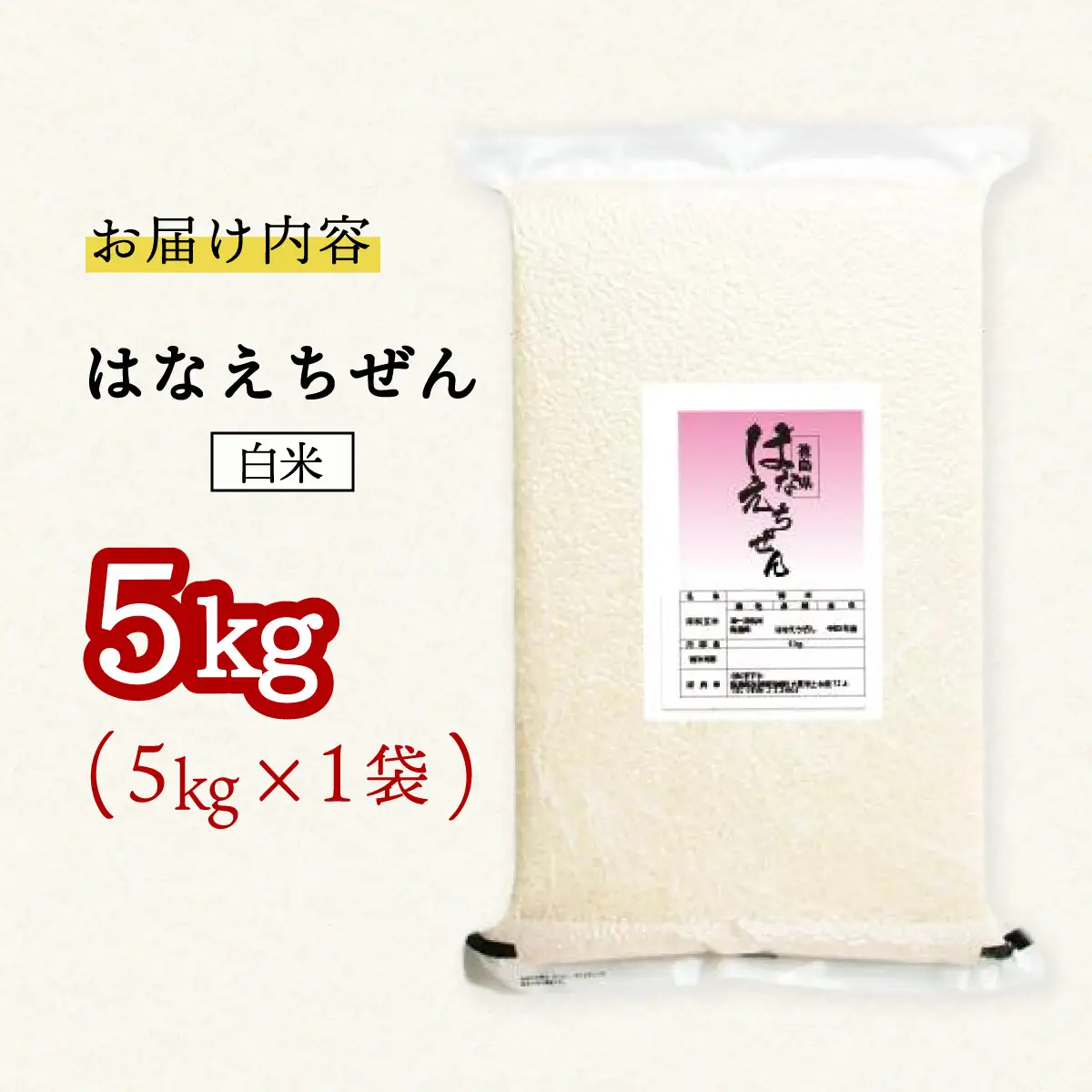 はなえちぜん 白米 5kg 真空パック ハナエチゼン 米 簡易梱包 エコ梱包