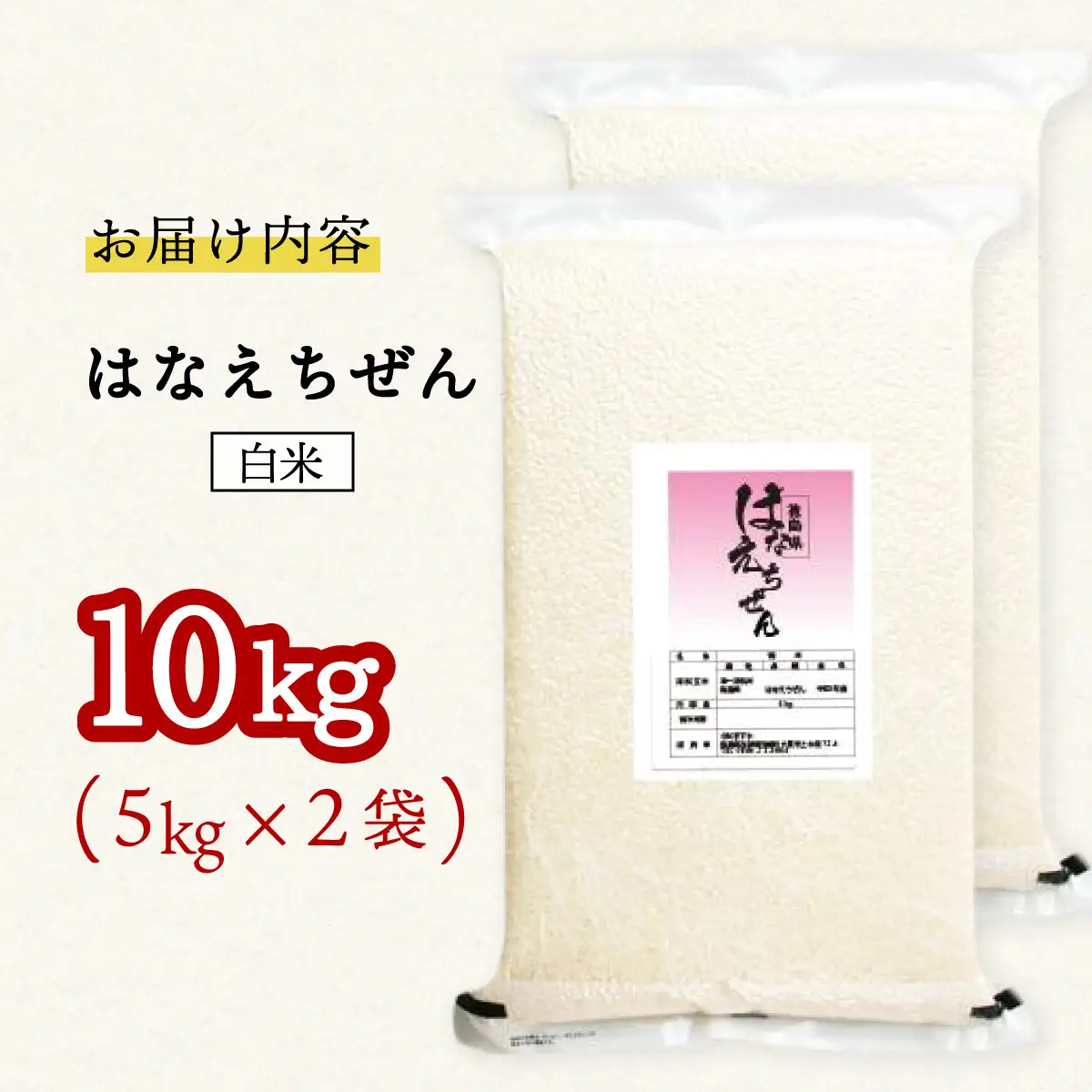 はなえちぜん 白米 5kg×2袋 真空パック ハナエチゼン 米 簡易梱包 エコ梱包