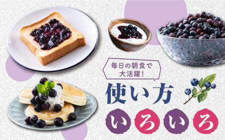 対馬産 大粒 ブルベーリー 700g×2袋 / ジャム セット 130g×2個 ブルーベリー フルーツ 詰め合わせ 朝食 新鮮 果実 ギフト   [WBG007]