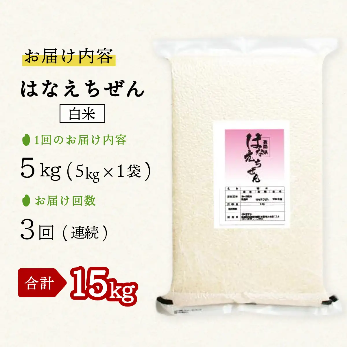 はなえちぜん 白米 5kg×3回 3ヶ月連続 定期便 15kg 真空パック ハナエチゼン 米 簡易梱包 エコ梱包