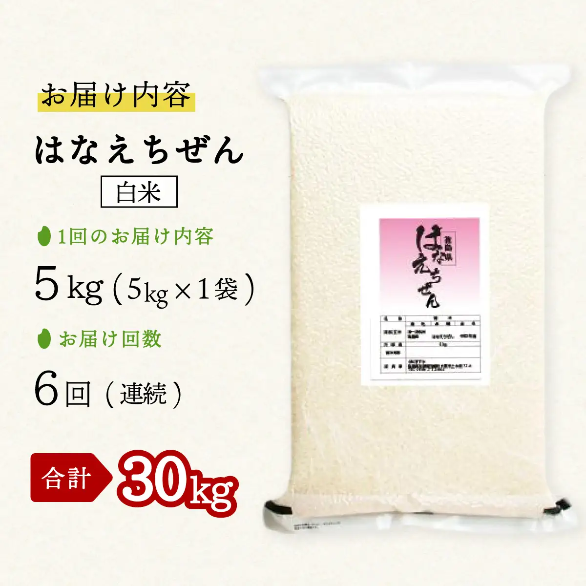 はなえちぜん 白米 5kg×6回 6ヶ月連続 定期便 30kg 真空パック ハナエチゼン 米 簡易梱包 エコ梱包
