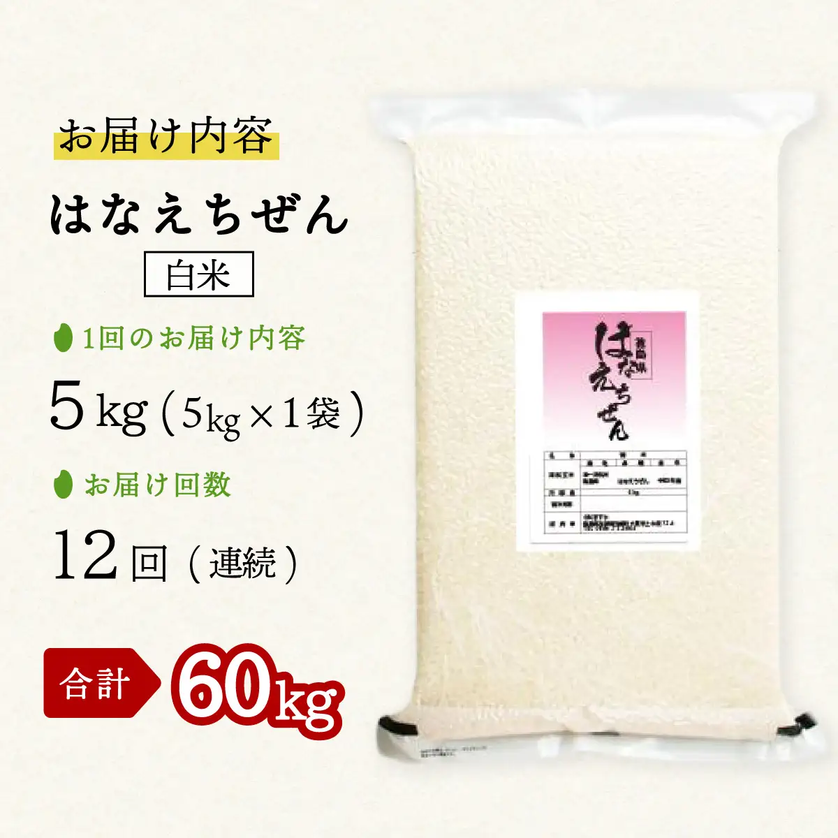 はなえちぜん 白米 5kg×12回 12ヶ月連続 定期便 60kg 真空パック ハナエチゼン 米 簡易梱包 エコ梱包