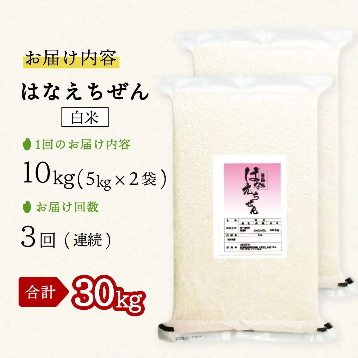 はなえちぜん 白米 5kg×2袋×3回 3ヶ月連続 定期便 30kg 真空パック ハナエチゼン 米 簡易梱包 エコ梱包