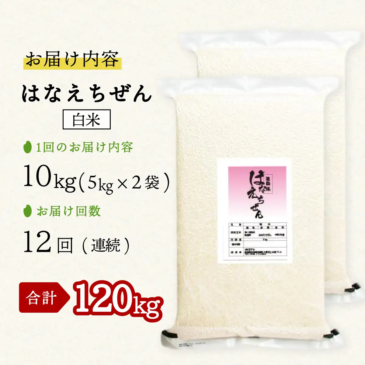 はなえちぜん 白米 5kg×2袋×12回 12ヶ月連続 定期便 120kg 真空パック ハナエチゼン 米 簡易梱包 エコ梱包