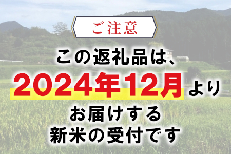 お好みに合わせて精米！令和6年産 コシヒカリ 10kg 東白川村産 玄米 お米 こめ 精米 10000円 一万円