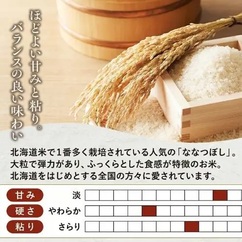 ななつぼし 5kg 定期便 6回 令和8年産 芦別市 お米 米 ななつぼし