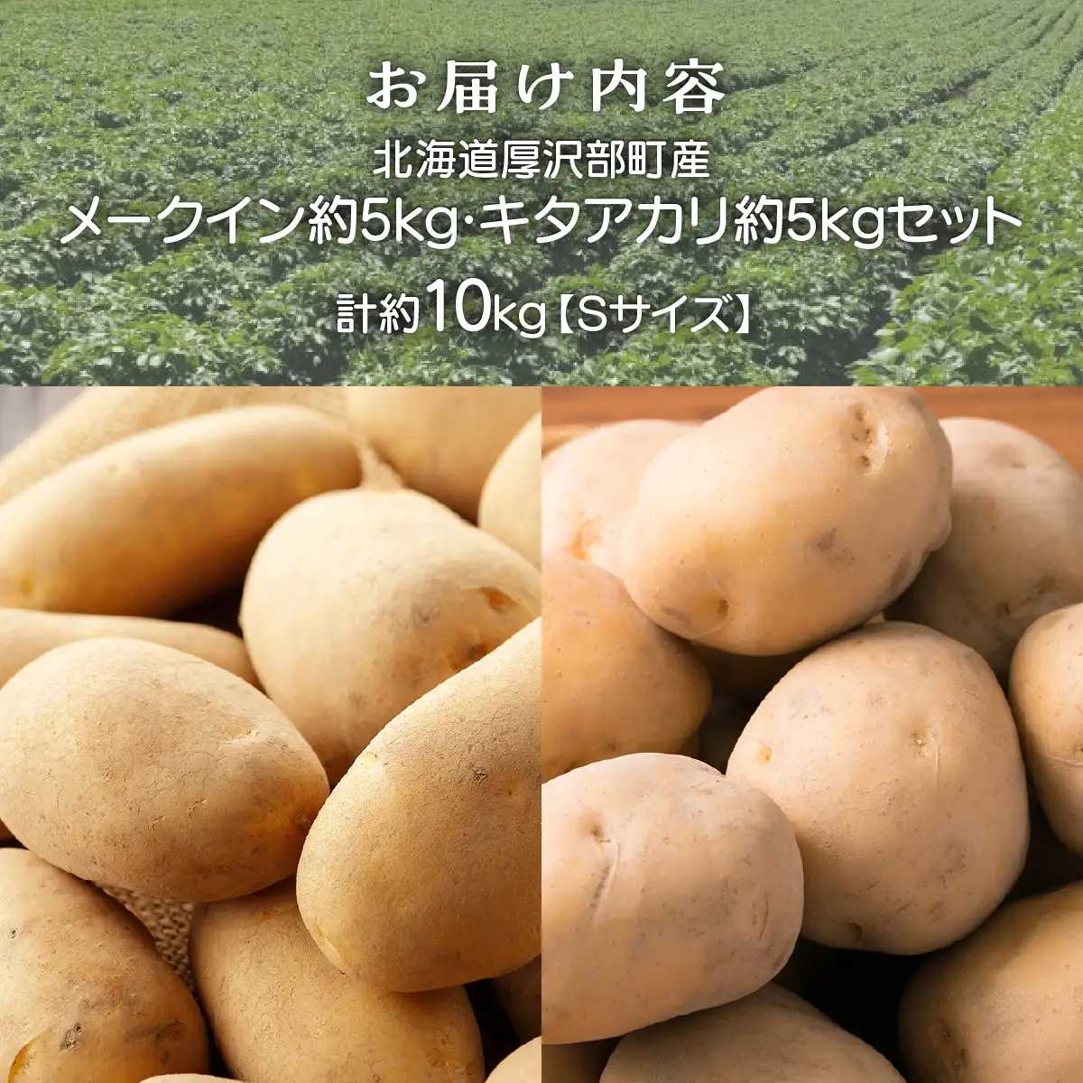 【2026年9月下旬より発送】北海道厚沢部町産 メークイン5㎏・キタアカリ5㎏のセット 計約10㎏【Sサイズ】 ASO031