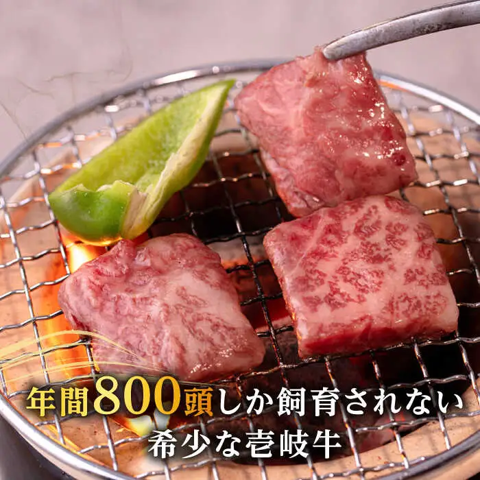 【高島屋選定品】〈壱岐市農業協同組合〉壱岐牛 赤身 焼肉用 500g《壱岐市》 牛肉 焼肉  [JFJ031] 25000 25000円