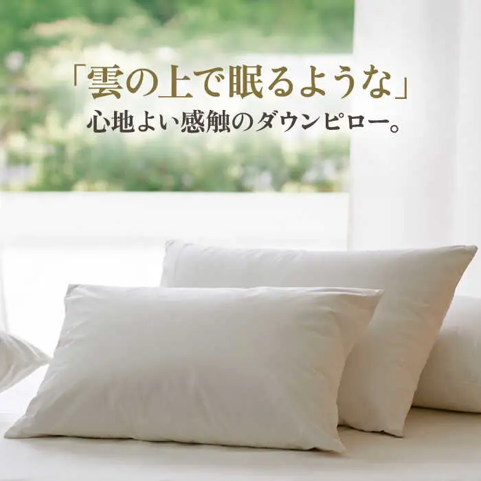 【高島屋選定品】〈富士新幸九州〉「GuuG」50×70cm ダウンピロー アップサイクル ダウン50%《壱岐市》[JFJ043]