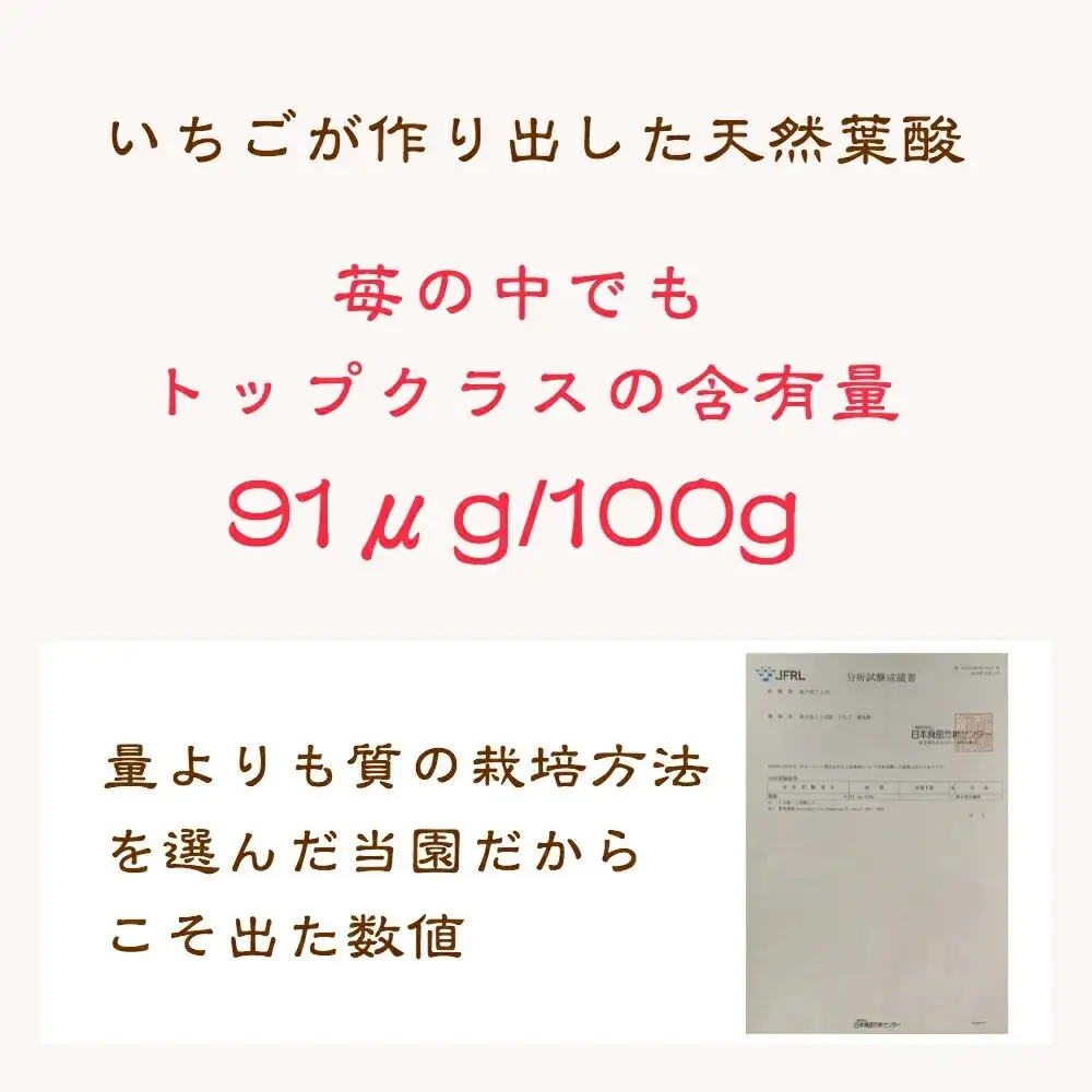 【先行予約】越後姫 いちご 雪国完熟 約170g×4P 越後姫 フルーツ