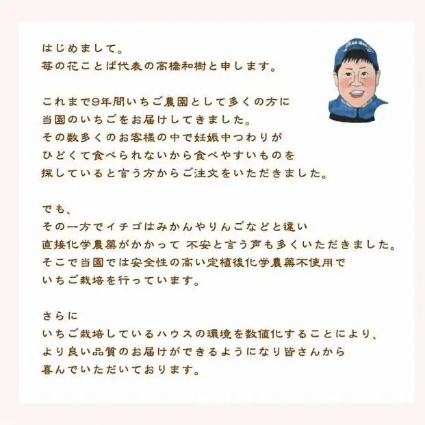 【先行予約】越後姫 いちご 雪国完熟 約170g×6P 越後姫 フルーツ