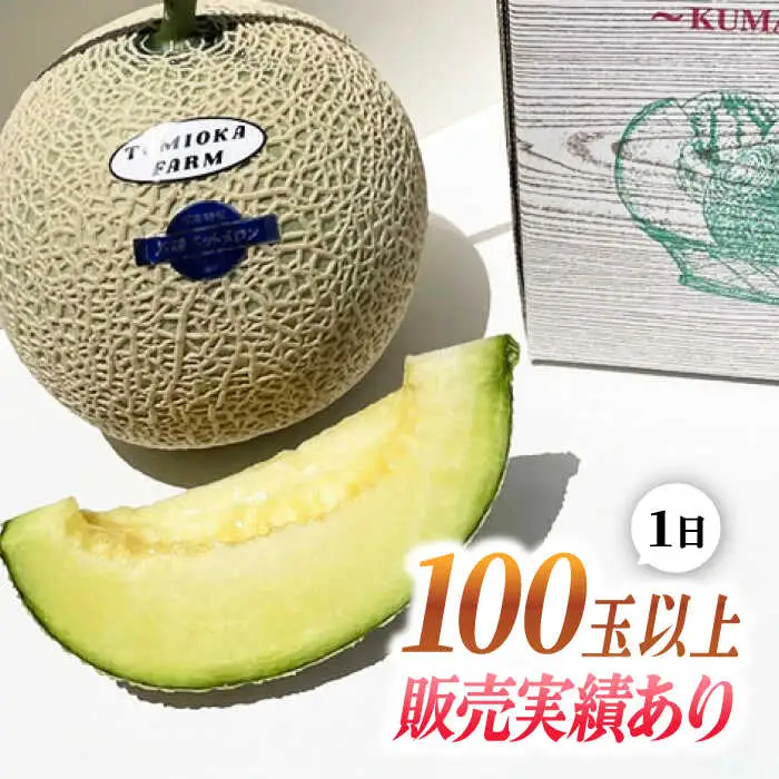 先行予約 年内発送 愛情 メロン 2玉【とみおか農園】[ZEM001]