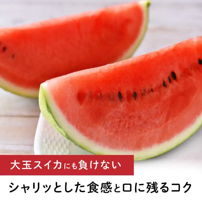 先行予約 ひとりじめBonBonリッチ黒皮小玉スイカ2玉すいか西瓜ZEM002