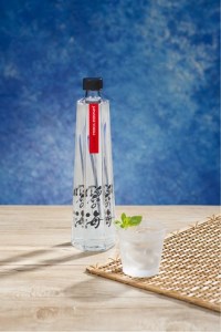 国産ウォッカ『碧の海』500ml瓶×２本 純国産 アルコール 酒 蒸留酒 スピリッツ ウォッカ ストレート ショット カクテル 沖縄 サトウキビ 白樺炭 H044-023