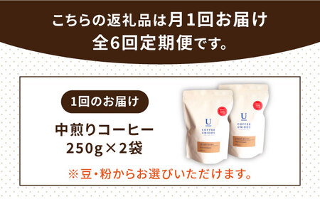 【全6回定期便】中煎り コーヒー 豆 ウニドスブレンド 250g × 2袋 ( 豆 ・ 粉 選べます ) 糸島市 / COFFEE UNIDOS [AQF022]