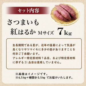 さつまいも　紅はるか　Mサイズ　7kg mi0084-0008-5
