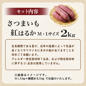 さつまいも　紅はるか　M,Lサイズ混合　2kg mi0084-0010-1