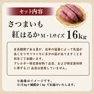 さつまいも　紅はるか　M,Lサイズ混合　16kg mi0084-0010-7