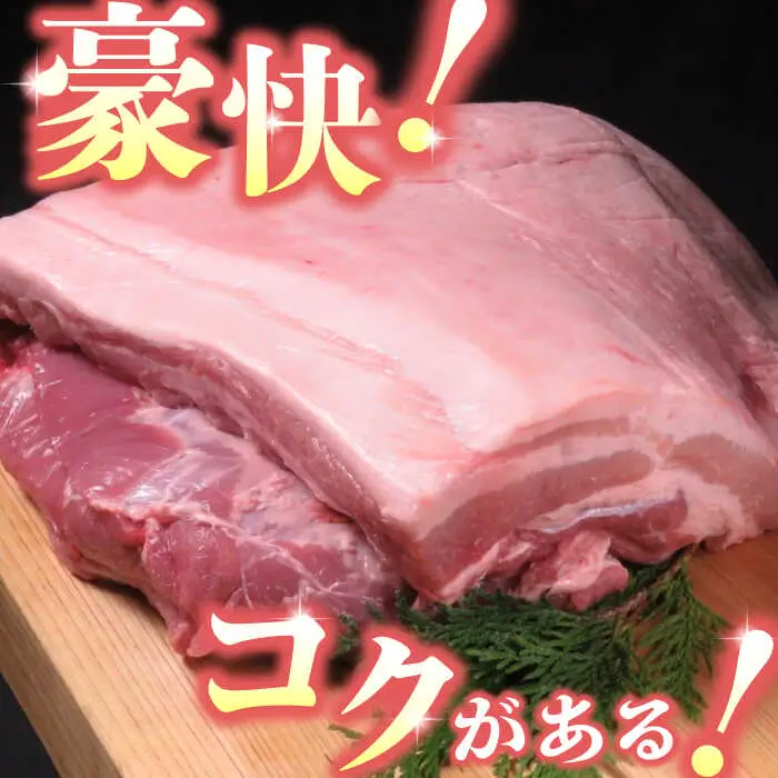 豚帝 豚バラ ブロック 約1kg【KRAZY MEAT(小田畜産)】[ZCP017]