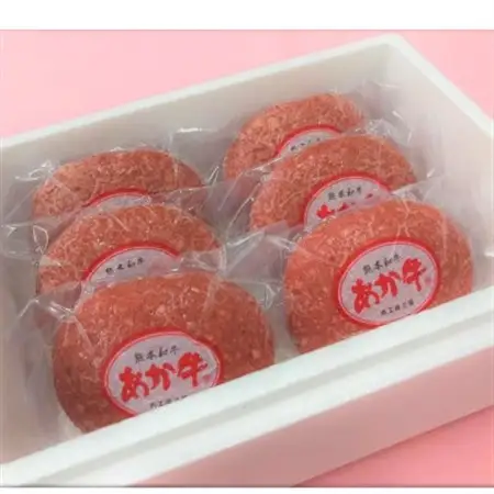 あか牛100%ハンバーグセット(あか牛ハンバーグ120g×6個 あか牛のたれ200ml)(美里町)_肉 ハンバーグ 牛肉 _【配送不可地域：離島】【1444416】