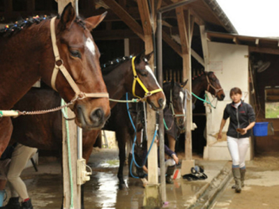 乗馬クラブFRTの体験乗馬チケット（022_5001）