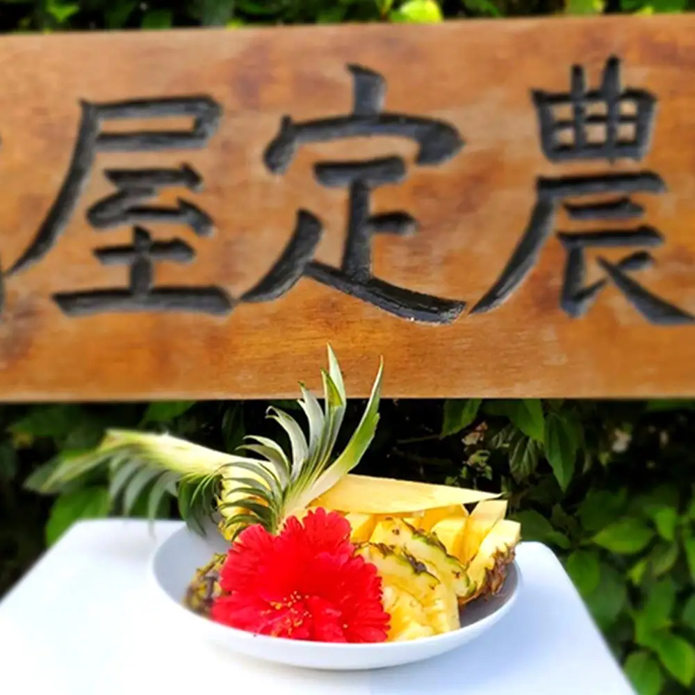 【2027年発送】比屋定農園「久米定パイン」ゴールドバレル 2玉（4kg以上）