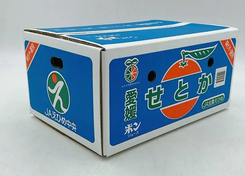 【2月中旬から順次発送】せとか 約5kg L～3Lサイズ ご家庭用 バラ詰め｜B193