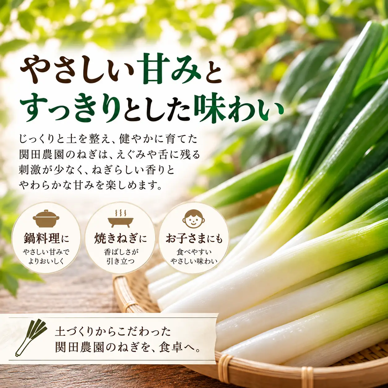 関田農園の「厳選 長ねぎ（剥き）」 5kg