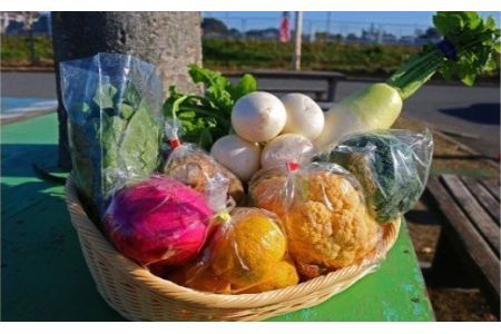 【12カ月定期便】厳選・「おおばん市場」旬の野菜詰め合わせ