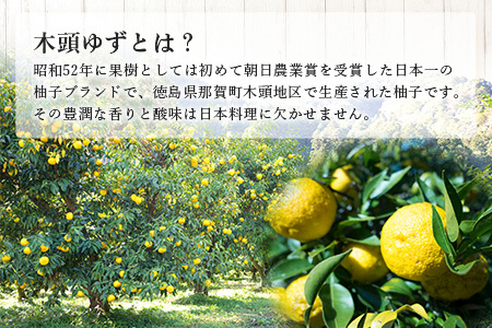 【先行受付・期間限定】 栽培期間中農薬・化学肥料不使用栽培の木頭柚子（黄玉）3kg 【11月頃より順次発送】 徳島県 那賀町 木頭地区 徳島 那賀 木頭 木頭ゆず 木頭ユズ 木頭柚子 ゆず ユズ 柚子 果実 果物 柑橘 柑橘系 料理 ジャム 柚子風呂 OM-6