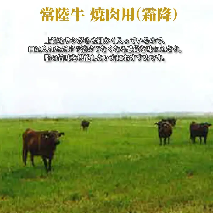 【常陸牛】焼肉用（霜降）約400g＜茨城県共通返礼品＞ No.441