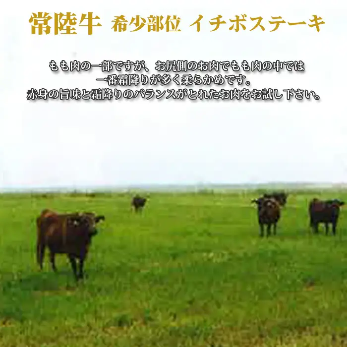 【常陸牛】希少部位　イチボステーキ　約500g＜茨城県共通返礼品＞ No.450